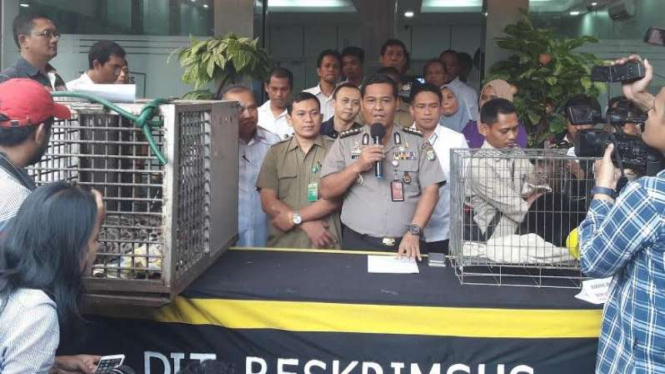 Polisi membongkar penjualan dan pemeliharaan satwa langka.