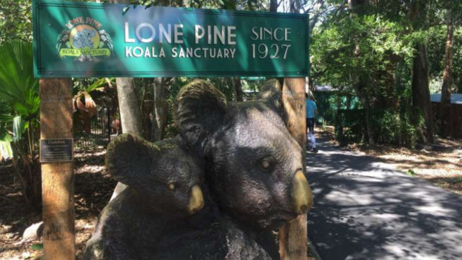 Lone Pine Koala Sanctuary, Brisbane, Quensland, Australia 