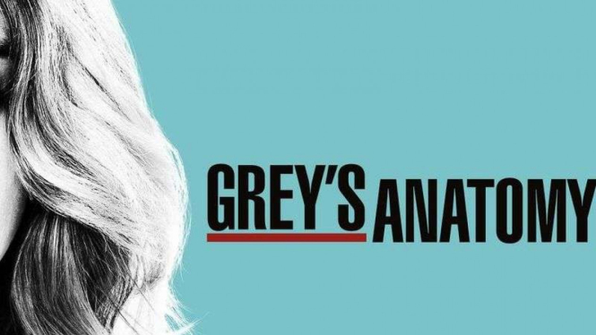 Serial Grey's Anatomy