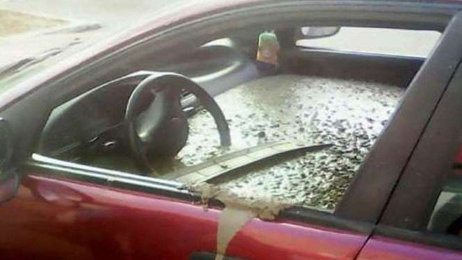 Mobil dicor semen di Rusia.