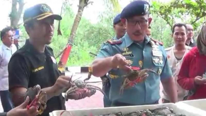 Danlantamal XIII, Ferial tunjukan kepiting dari kapal penyelundup.