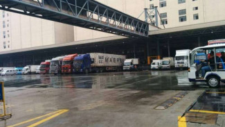 Peluang Ekspor Ikan ke China