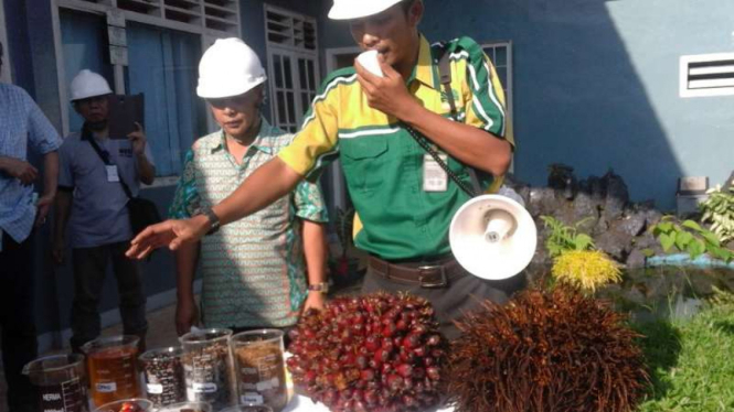 Pabrik pengolahan sawit Kencana Agri.