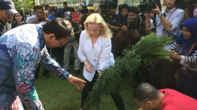 Gubernur DKI Basuki Tjahaja Purnama dan Duta Besar Finlandia menanam pohon.