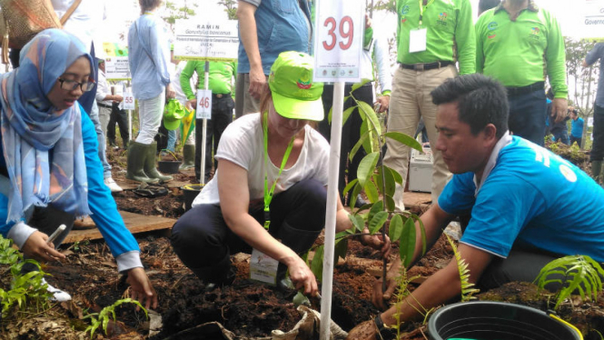 Perwakilan delegasi 27 negara dari Asia pasific menanam pohon dihutan gambut, sepucuk Kabupaten OKI, Sumsel.