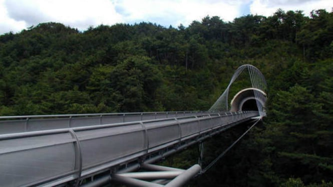 Miho Museum