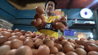 Harga Beras hingga Bawang Masih Tinggi saat Telur dan Daging Ayam Turun, Cek Daftarnya