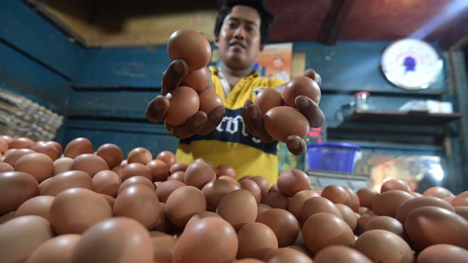 Pedagang telur ayam.