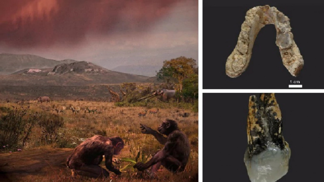 Fosil tua nenek moyang manusia