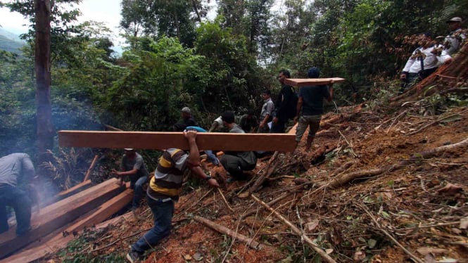 Illegal Logging, salah satu kejahatan yang merugikan negara/Ilustrasi.