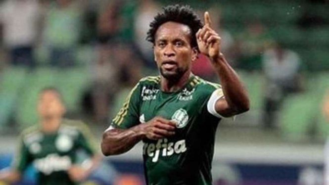 Pemain Palmeiras, Ze Roberto