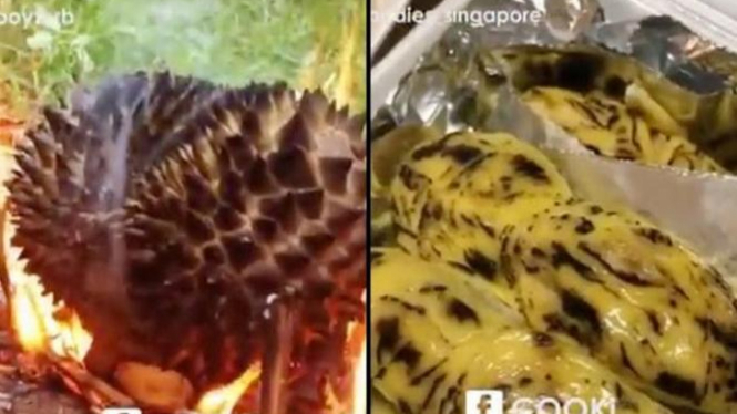 Download 540 Koleksi Gambar Durian Bakar Keren Gratis HD