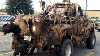 Ekstrem, Modifikasi Truk dengan Bangkai Hewan Liar