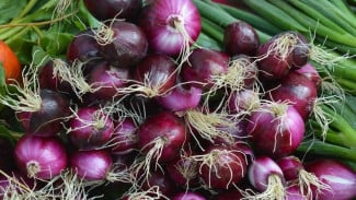 Waspada Bawang Merah Impor Berlabel Bawang Bombai