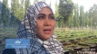 Photo Mini 1