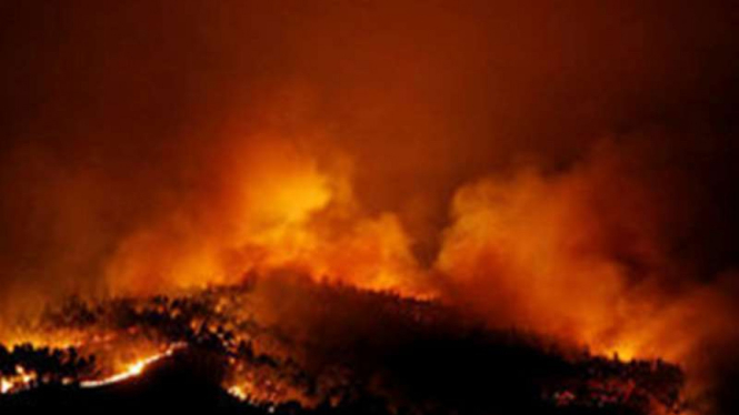 Api yang berkobar membakar hutan di Portugal.