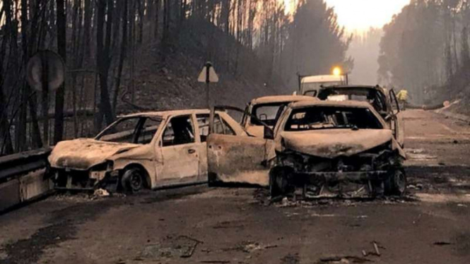 Kerangka mobil yang menjadi korban kebakaran hutan di Portugal.