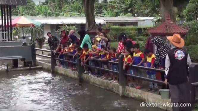 Lima Objek Wisata Keluarga Di Sekitar Sentul Bogor Viva