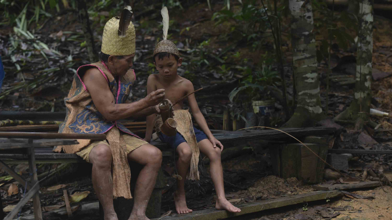 Bokep papua suku pedalaman