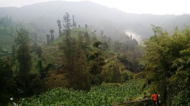  Lokasi jatuhnya helikopter Basarnas di Gunung Butak Temanggung