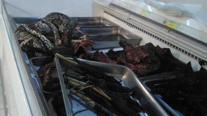 Daging ular piton yang dijual supermarket Indogrosir Manado.