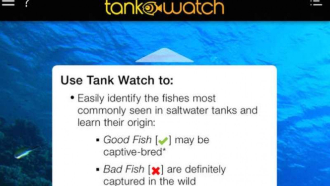 Aplikasi Tank Watch.
