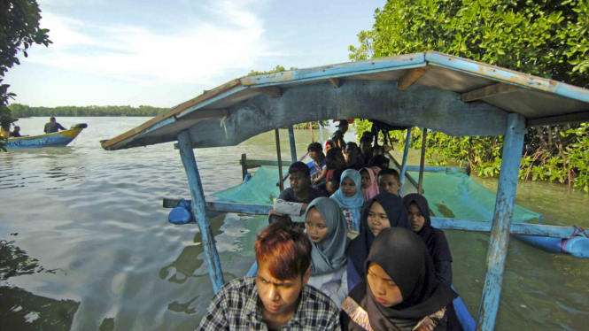 Potensi Wisata Mangrove di Indonesia