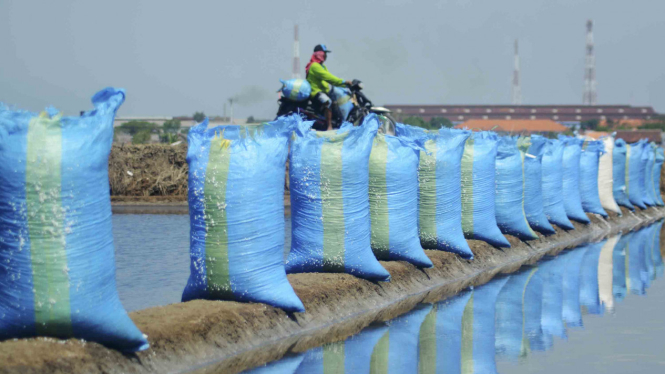 Produksi Garam di Indonesia Turun