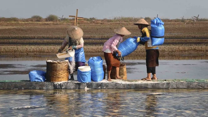 Produksi Garam di Indonesia Turun