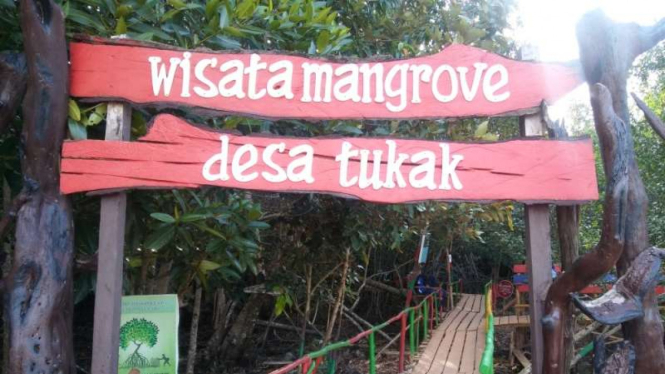 Wisata Mangrove Bangka Selatan