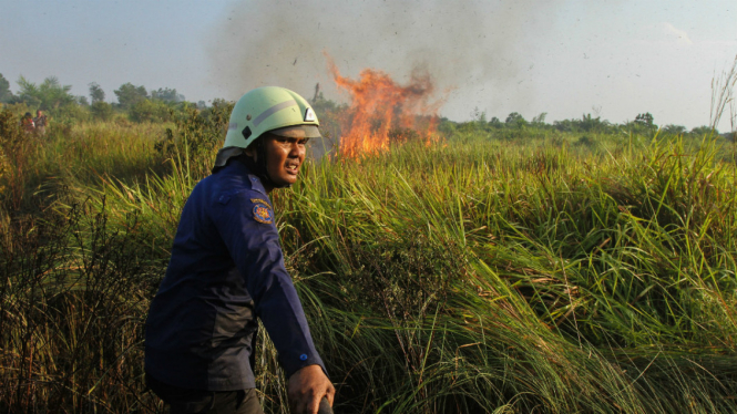 Petugas pemadam kebakaran dibantu Masyarakat Peduli Api (MPA) berusaha memadamkan api di dekat perkebunan sawit ketika terjadi kebakaran lahan di Pekanbaru, Riau, Senin (31/7/2017).