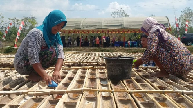 Warga Desa Jono, Kabupaten Grobogan bertani garam dari sumur di ladang mereka.