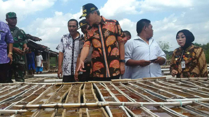 Gubernur Jawa Tengah Ganjar Pranowo meninjau petani garam.