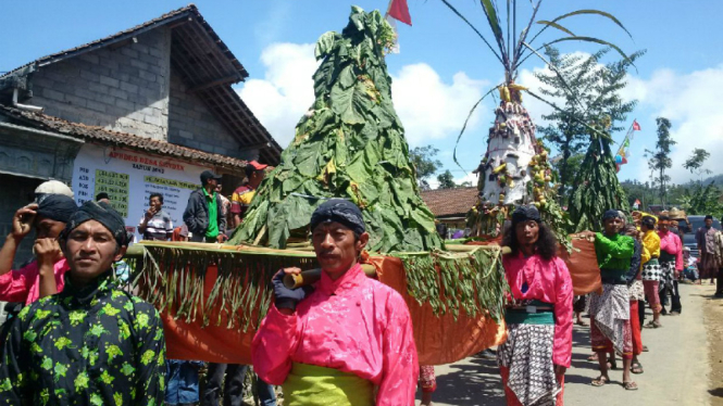 Tradisi Tungguk Tembakau di Kecamatan Selo, Kabupaten Boyolali, Jawa Tengah.