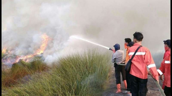  Sejumlah petugas pemadam kebakaran hutan sedang menyemprotkan air untuk memadamkan api di lahan gambut di Sumatera Selatan, Kamis (3/8/2017)