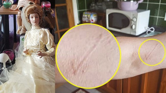 Boneka Berhantu Serang Pemilik Baru Usai Terjual di Toko Online