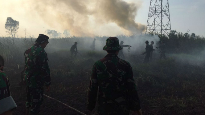 Titik panas terbanyak ada di Pulau Kalimantan, yang hampir setiap tahun terjadi kebakaran hutan maupun lahan gambut.