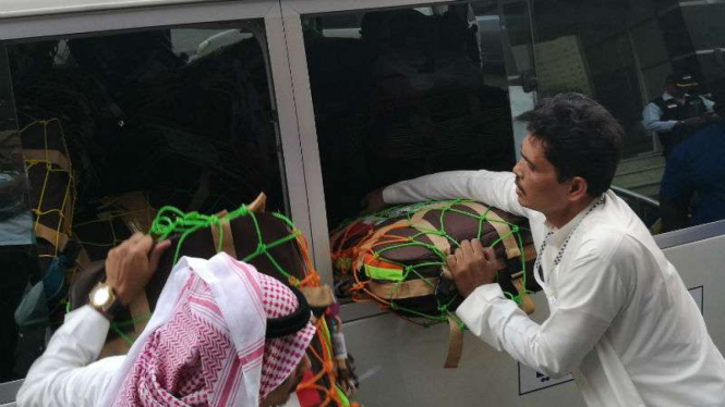 Petugas mengangkut koper milik jemaah haji Indonesia