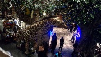 Sensasi Bersantap di Hutan Rimba Bisa Dirasakan di Jakarta
