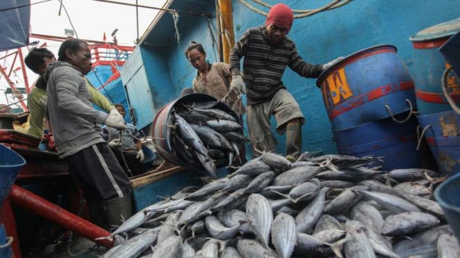 Aktivitas nelayan sedang melakukan bongkar muat ikan di Pelabuhan Muara Baru, Jakarta, Rabu (9/8/2017)