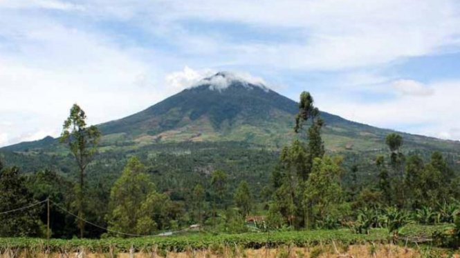 Gunung Cikuray, Jawa Barat.