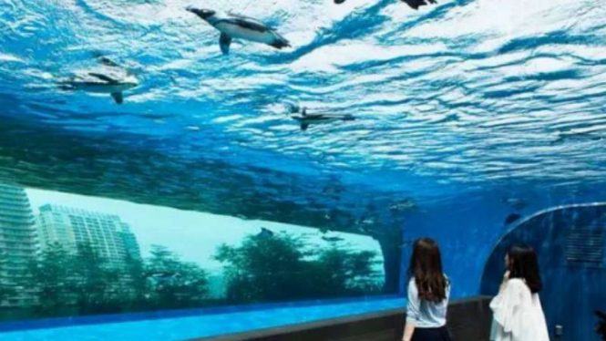 The Sunshine Aquarium, Jepang 