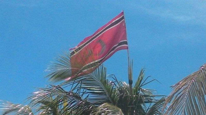 Bendera Bulan Bintang yang sempat berkibar di atas pohon kelapa di Kecamatan Julok, Kabupaten Aceh Timur, sebelum diturunkan oleh pihak keamanan setempat pada Kamis siang, 17 Agustus 2017.