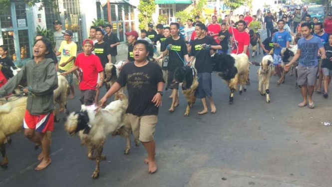 Arak-arakan kurban di Temanggungan.