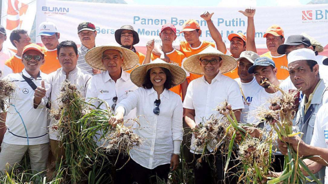 Menteri Rini Soemarno saat panen bawang di Sembalun.