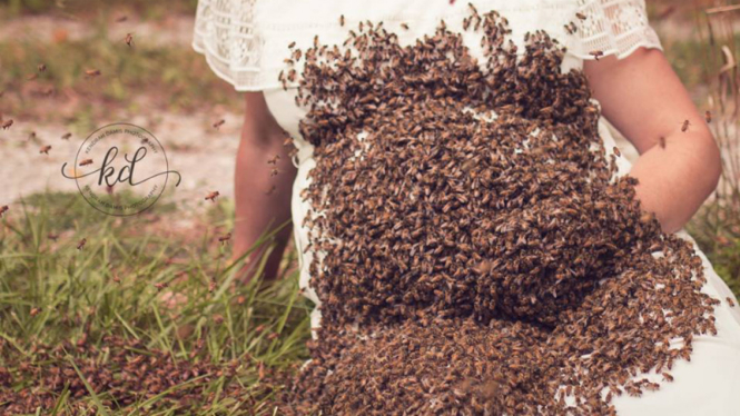 Ibu hamil foto dengan 20 ribu lebah.
