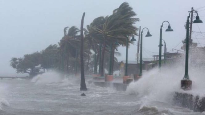 Mengapa Badai Dinamai Irma Harvey Katrina