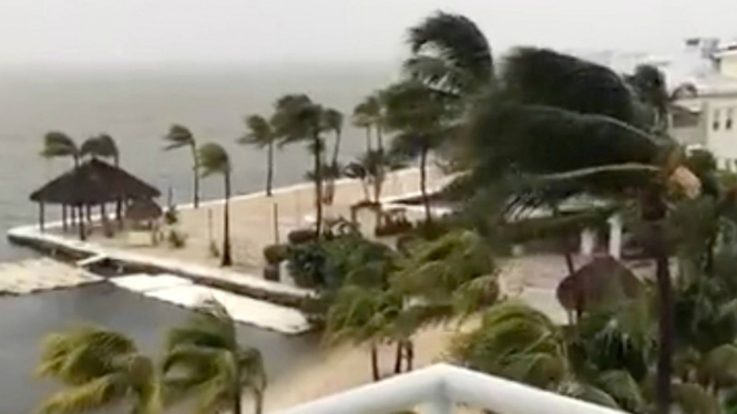 Angin kencang di Key Largo, Florida, AS, 9 September 2017 waktu setempat.