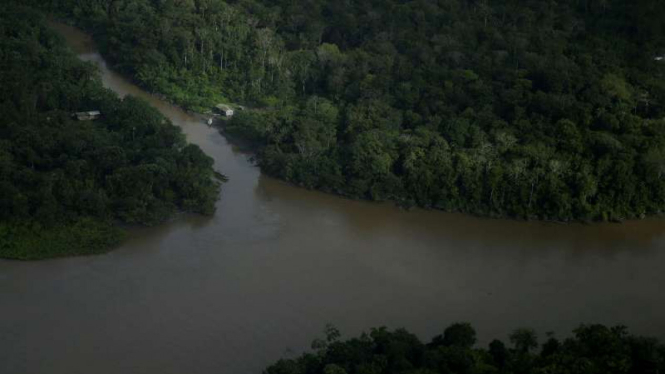 Hutan rimba Amazon di Brasil.
