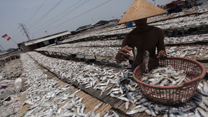 Peningkatan Produksi Ikan Asin